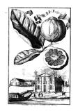 Stampa 1